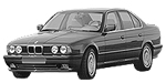 BMW E34 P0544 Fault Code