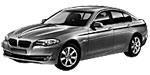 BMW F10 P0544 Fault Code